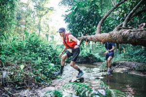 BIB: 
                            <button type="button" onclick="openModal(25431923)" class="btn btn-primary btn-sm float-right btn-popup" data-toggle="modal" data-target=".modal-high-quality">
                        <i class="fas fa-shopping-cart"></i> Add to Cart
                    </button>
                                            <button type="button" onclick="isThisMe(25431923, true)" class="btn btn-success btn-sm float-right btn-popup btn-isme hidden" data-toggle="tooltip" data-placement="bottom" title="นี่คือรูปของคุณใช่ไหม คลิกที่นี่เพื่อเอาเข้าอัลบั้ม">
                        <i class="fas fa-plus"></i> Add to album
                    </button>
                    <button type="button" onclick="isThisMe(25431923, false)" class="btn btn-warning btn-sm float-right btn-popup btn-isnotme hidden">
                        <i class="fas fa-ban"></i> Remove from album
                    </button>